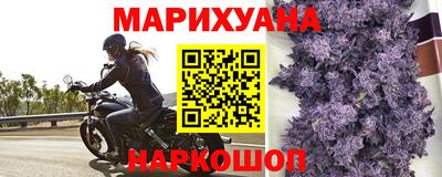 спиды Шебекино