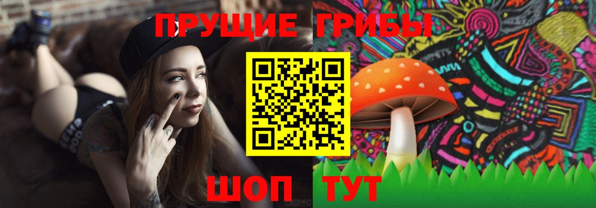Галлюциногенные грибы GOLDEN TEACHER  купить наркотики цена  Вятские Поляны  Вход с VPN 